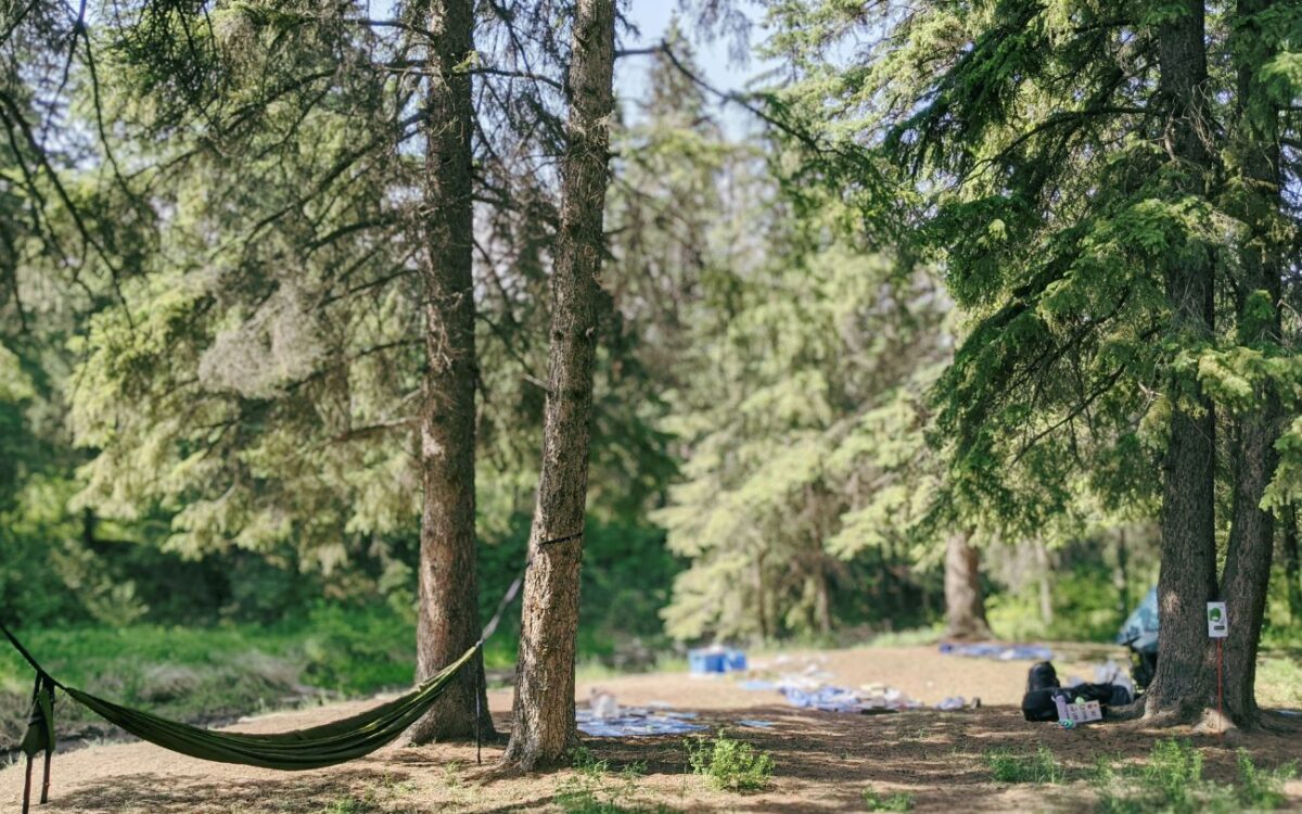 Forest School Meet-Up